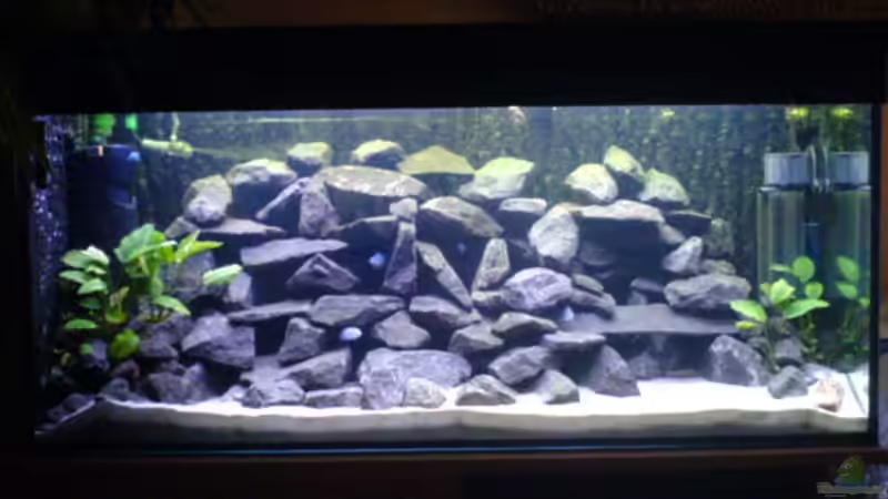 240 L AQ ab 08.10.2006 nochmal in anderem Licht von Andreas Odenweller (5)