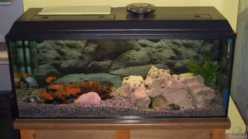 240 Lieter becken mit Abdeckung und eigenbau Unterschrank von Michael Meier (1)