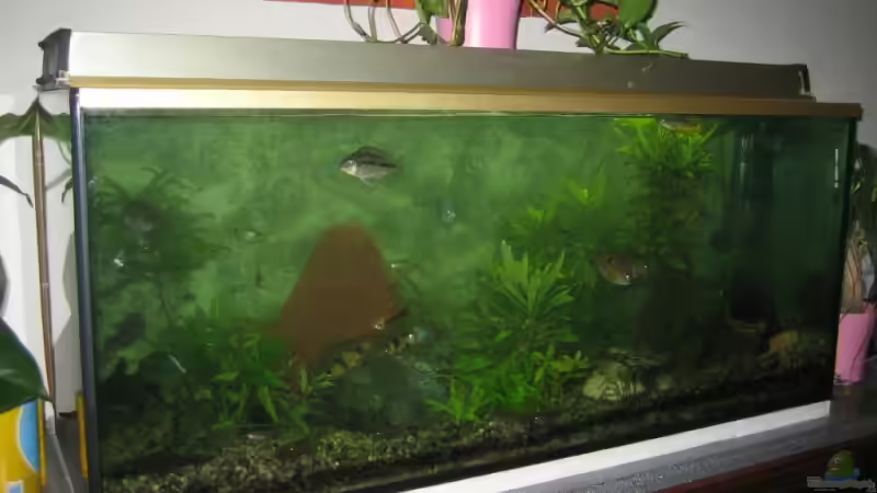 240 Liter von Florian Kunkel (2)