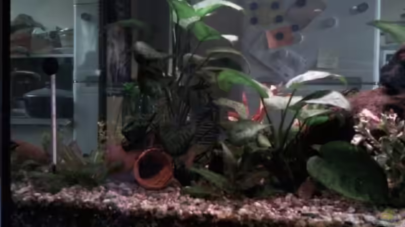 240er linke seite,neues Bild von mikael38 (3)