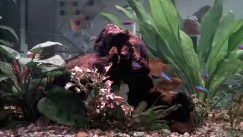 240er mitte,neues Bild von mikael38 (2)