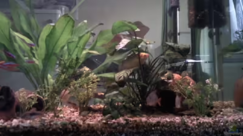 240er rechte seite,neues Bild von mikael38 (4)