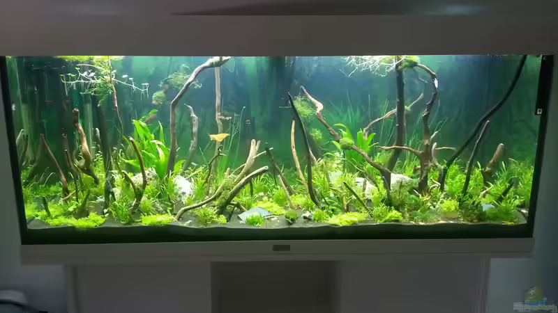 240l Becken von Mirakulix89 (2)