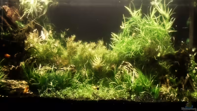 240L von ALex0008 (1)