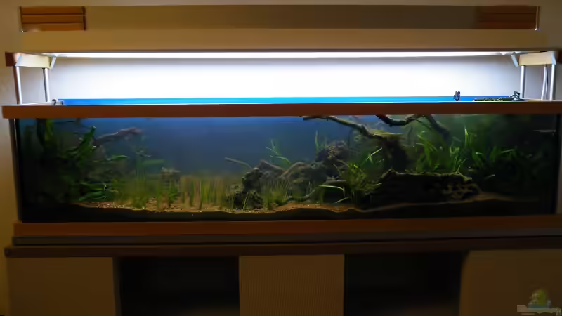 24h nach dem Umzug - 27.09.2010 von bergfrau (14)