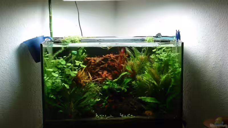 25. Nov. 2007, altes Becken von Christoph Grote (2)