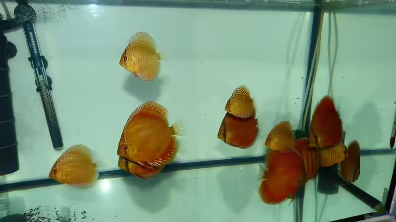 25.01.15 von ~Marco~ (29)