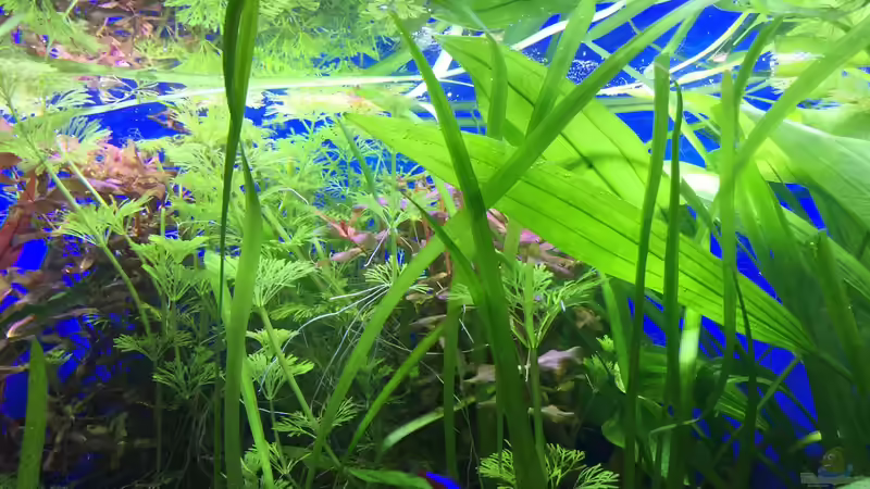 25.01.16 von .Andreas. (39)