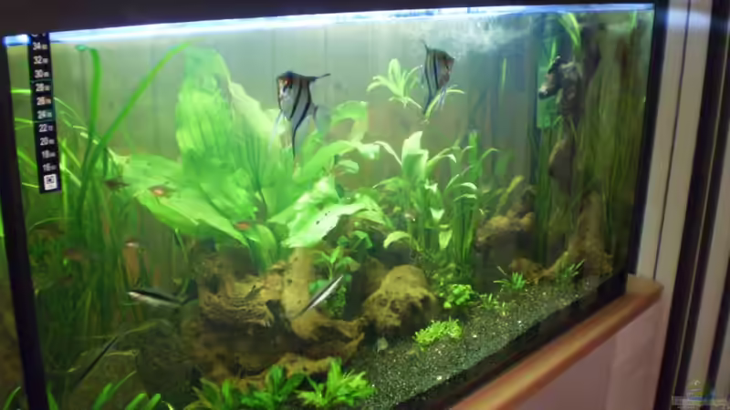 25.01.2011 Diagonalansicht links oben von Ralf Horsthemke (15)