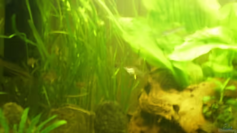 25.01.2011 Linke Beckeneinsicht von Ralf Horsthemke (11)