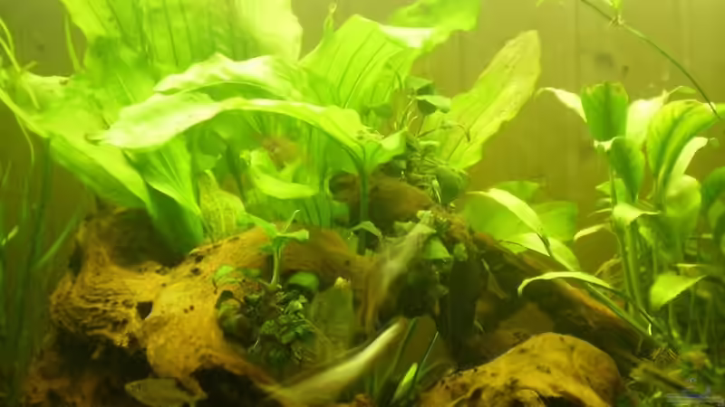 25.01.2011 Mittige Beckeneinsicht von Ralf Horsthemke (12)