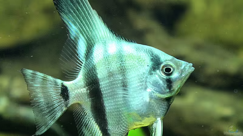 25.01.2014 von Trimmy (16)