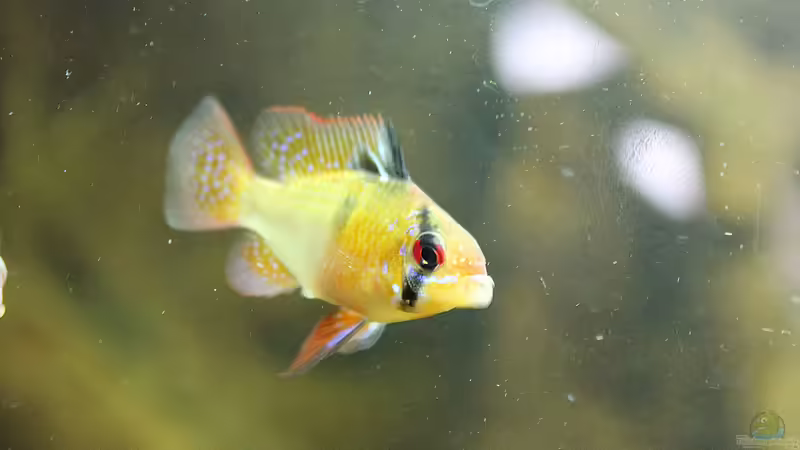 25.01.2014 von Trimmy (19)