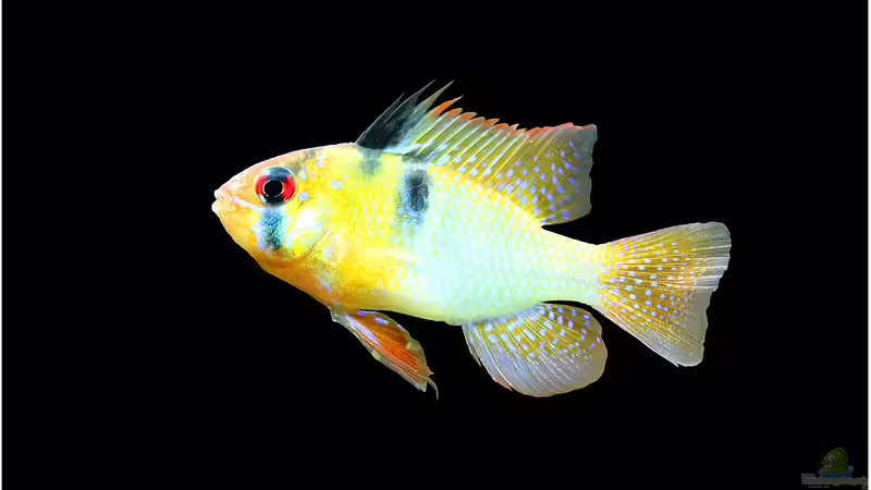 25.01.2014 von Trimmy (20)