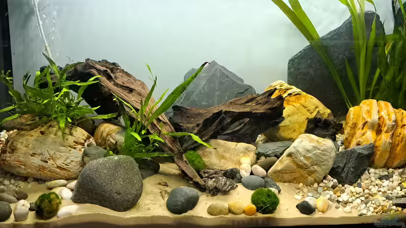 25.01.2025 von okefenokee (4)