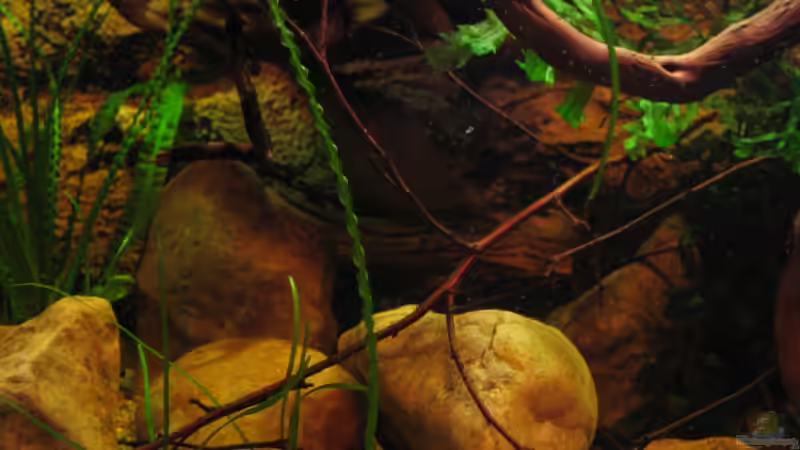 25.02.12 linke Seite... von Alex S (12)