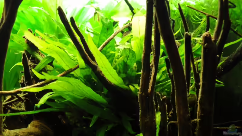 25.02.12 von -Mark- (10)