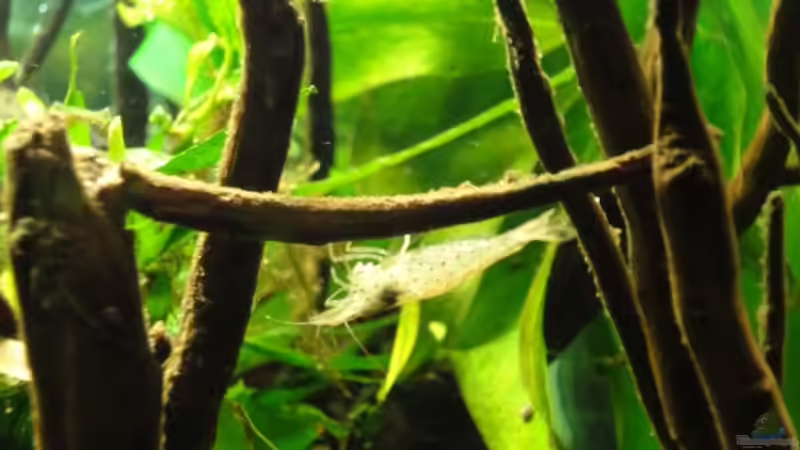 25.02.12 von -Mark- (18)