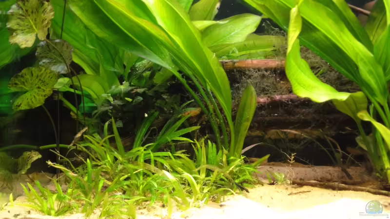 25.02.12 von -Mark- (5)