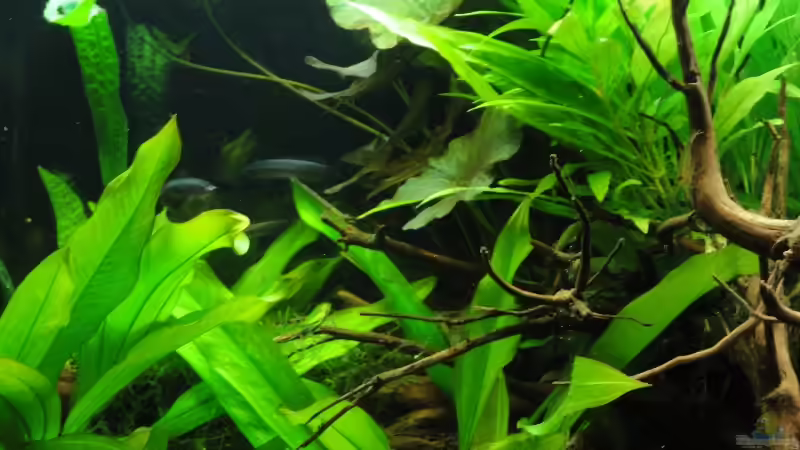 25.02.12 von -Mark- (9)