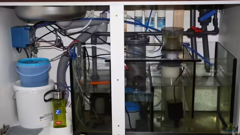 25.02.2009 von Stephan Ascher (46)