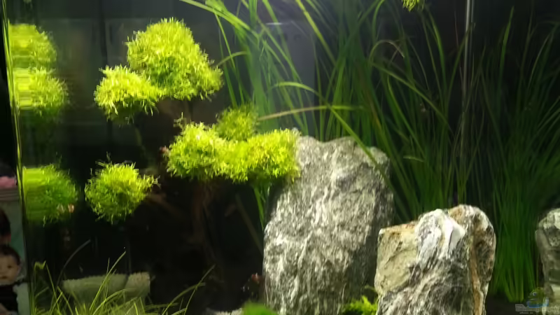 25.02.2013 von andreas69 (1)