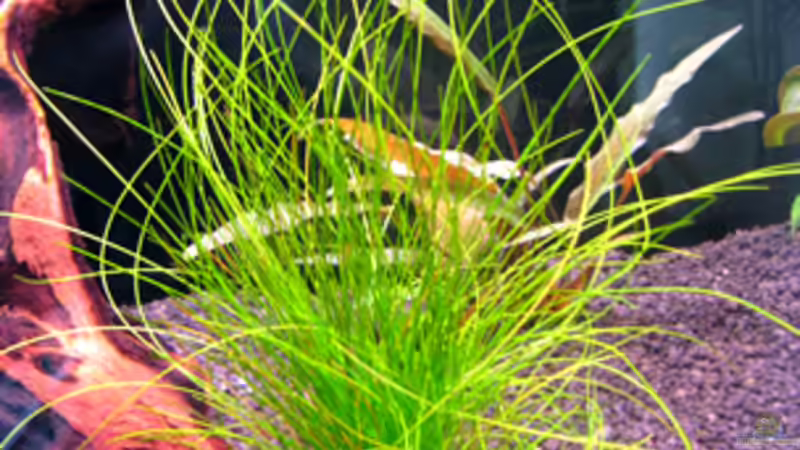 25.03.2009 von Maik A. (13)