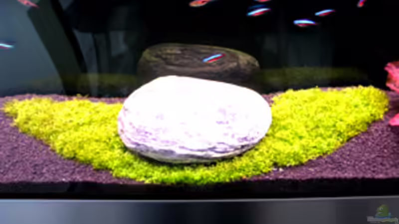 25.03.2009 von Maik A. (14)