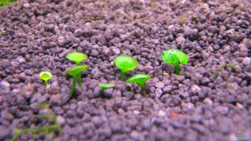 25.03.2009 von Maik A. (20)