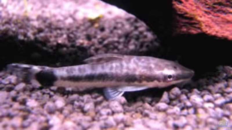 25.03.2009 von Maik A. (23)