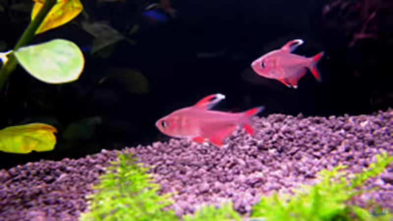 25.03.2009 von Maik A. (25)