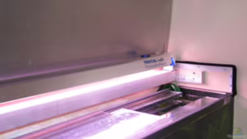 25.03.2009 von Maik A. (5)