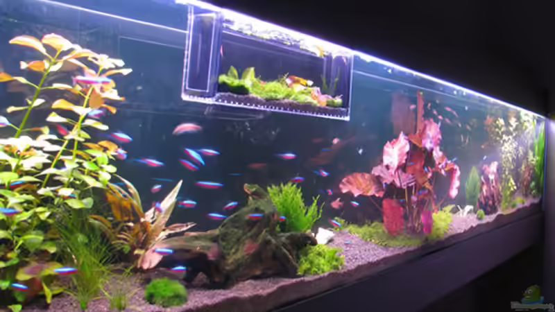 25.03.2009 von Maik A. (8)