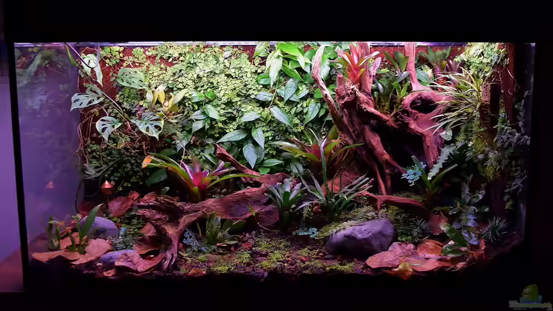 25.03.2023 von Junglist (16)