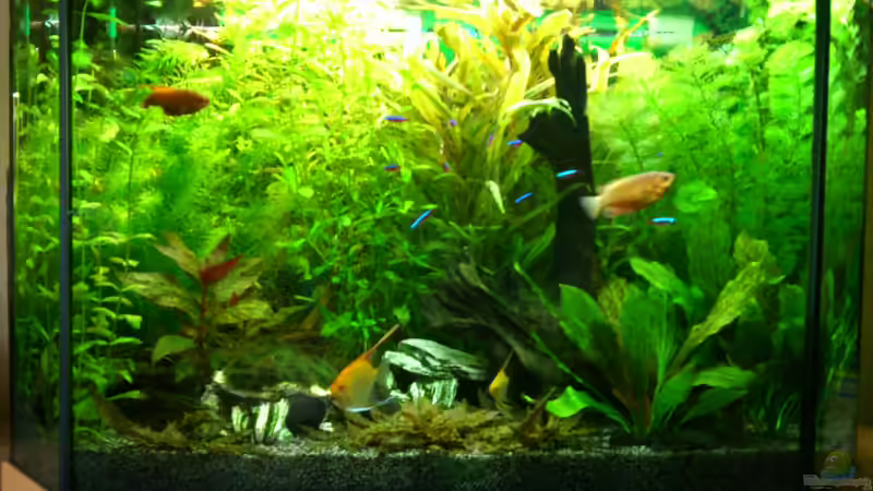 25.032013 von Stephan Groß (2)