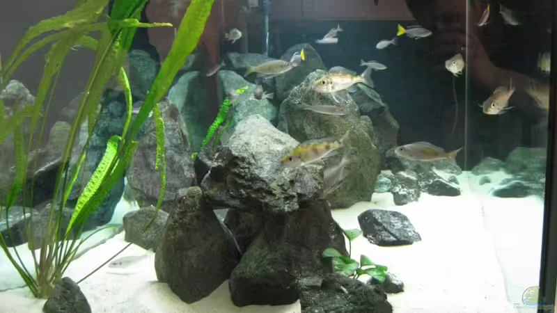 25.04.2010 von Andi*Sehlde (18)