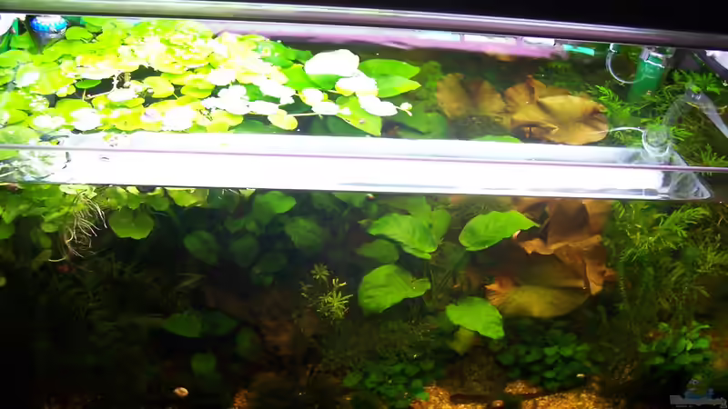 25.04.2011 von Jens J. (11)