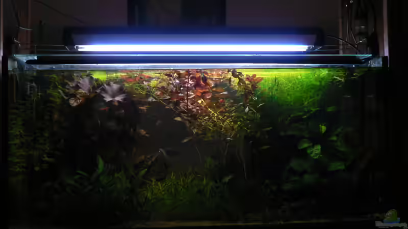 25.05.2010, Blick Sofa von Zapfenmanderl (13)