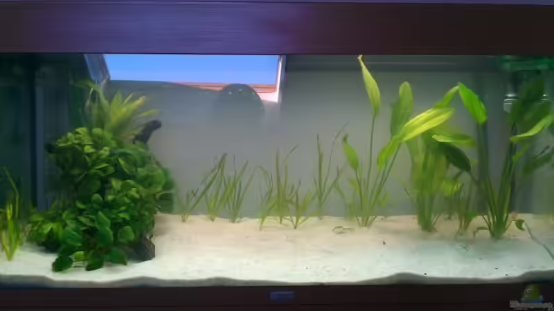 25.05.2011 von Fabian Ber (5)