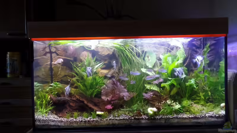 25.06.2014 von raubsau (34)