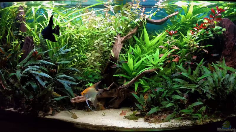 25.06.2020 von Jumata (1)