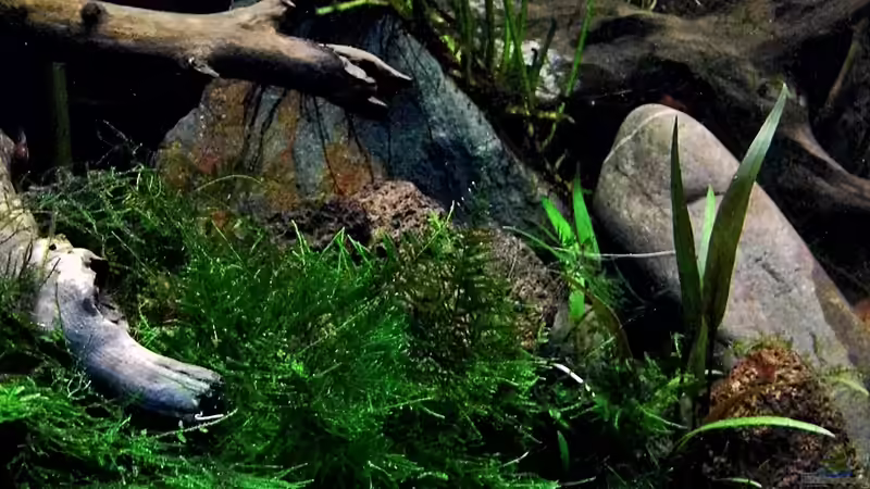 25.07.2014 von snooze (3)