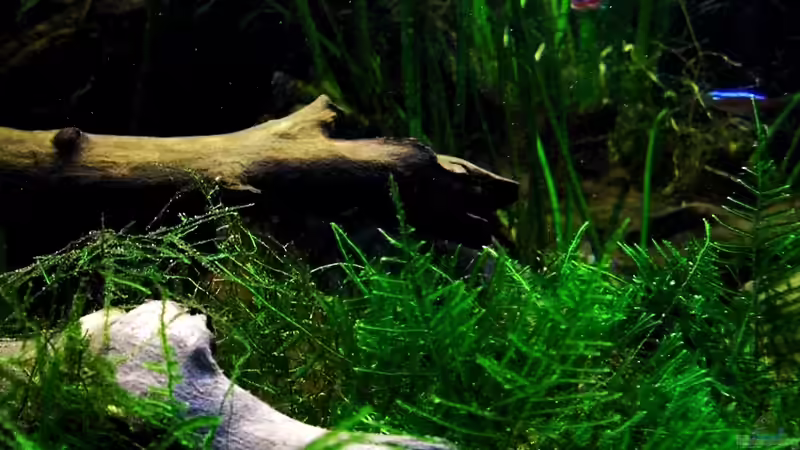 25.07.2014 von snooze (4)