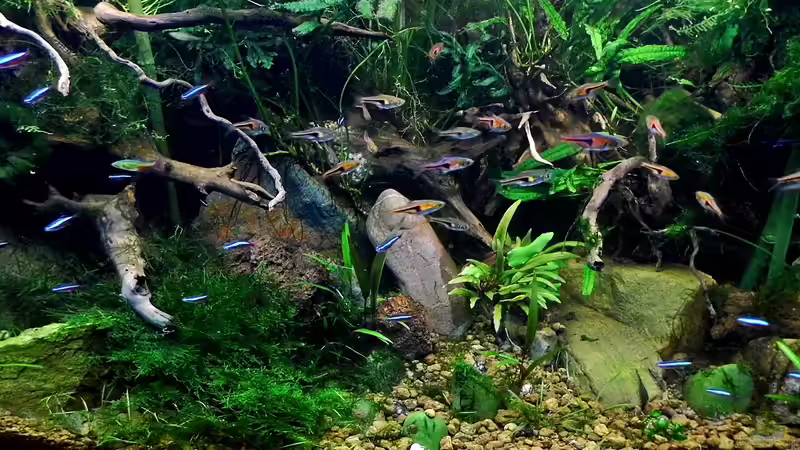 25.07.2014 von snooze (5)