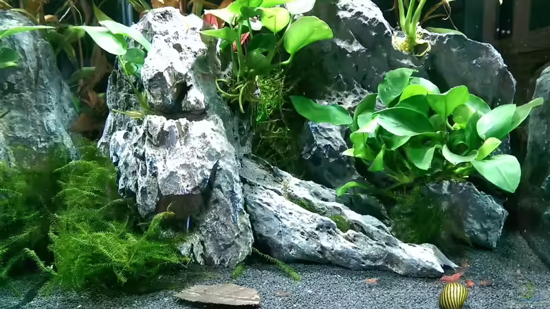 25.07.2015 /2 von dima1969 (3)