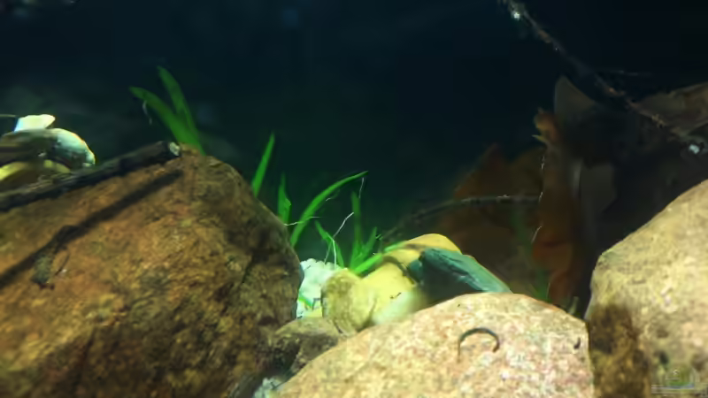 25.09.08 von timme (18)