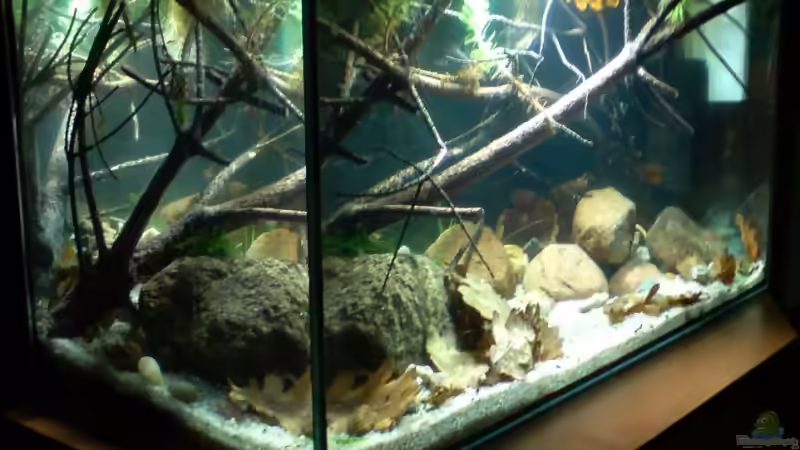 25.09.08 von timme (2)