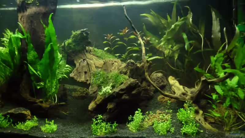 25.09.12 von Annika (8)