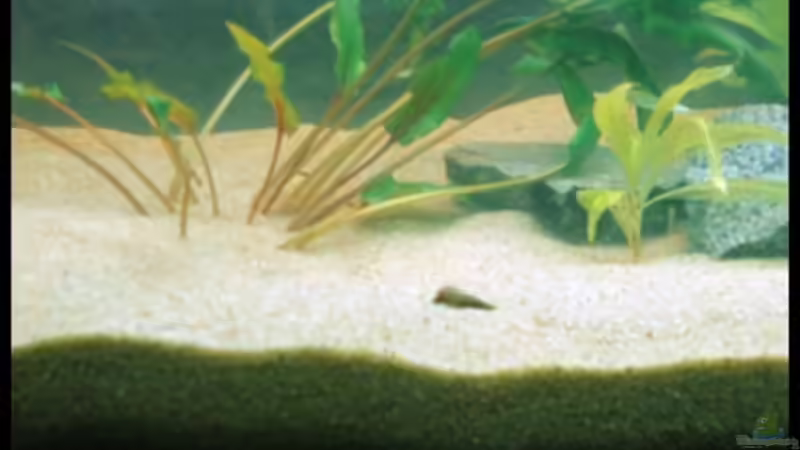 25.09.2008 von Michaela (10)