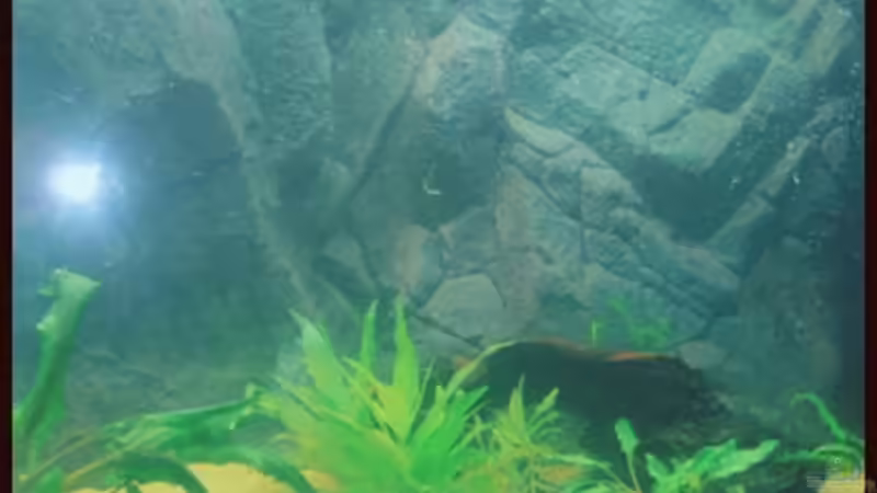 25.09.2008 von Michaela (11)